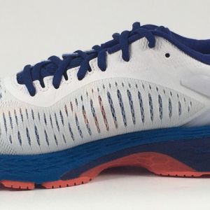 Asics Men’s Gel-Kayano 25 White Blue Print