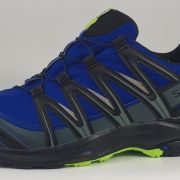 Salomon Men’s XA PRO 3D GTX Hiking Shoes